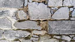 acastle
                          112910.jpg
